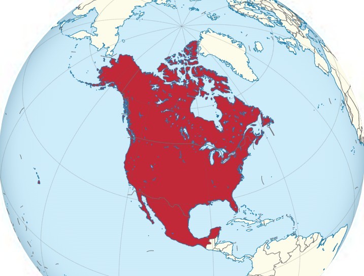 USMCA Still Shapes Nearshoring Decisions: Why Mexico Remains Relevant for U.S. CEOs